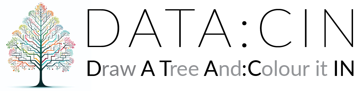 Datacin Logo